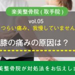 つらい膝（ひざ）の痛み・・・原因は何？楽美整骨院取手の治療法