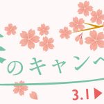 「初回限定」春のキャンペーン情報のお知らせ